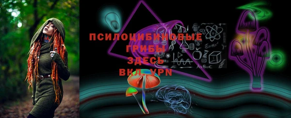 сатива Абаза