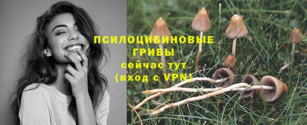spice Алексин