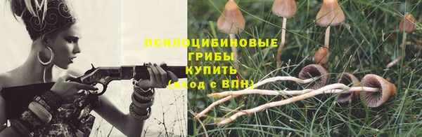 spice Алексин