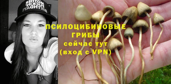 меф Алзамай