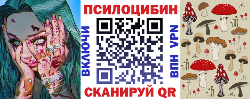 магазин  наркотиков  Абакан  Галлюциногенные грибы Psilocybine cubensis 
