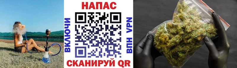 Марихуана конопля  купить  цена  Абакан 